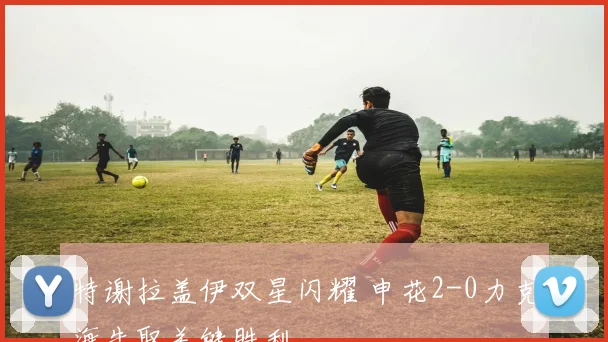 特谢拉盖伊双星闪耀 申花2-0力克海牛取关键胜利