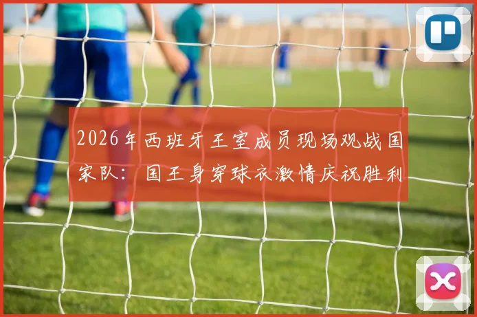 2026年西班牙王室成员现场观战国家队:国王身穿球衣激情庆祝胜利,王室支持传统与趣闻盘点